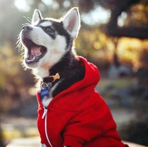 Meet your Posher, Thao